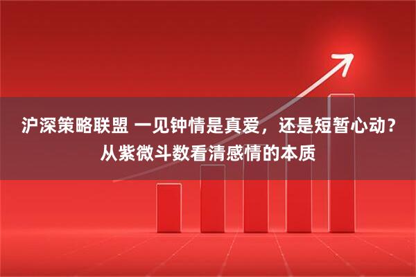 沪深策略联盟 一见钟情是真爱，还是短暂心动？从紫微斗数看清感情的本质
